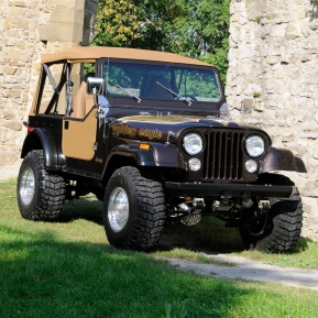 Xenon 12 cm fender flares ,Jeep CJ, 76-86
